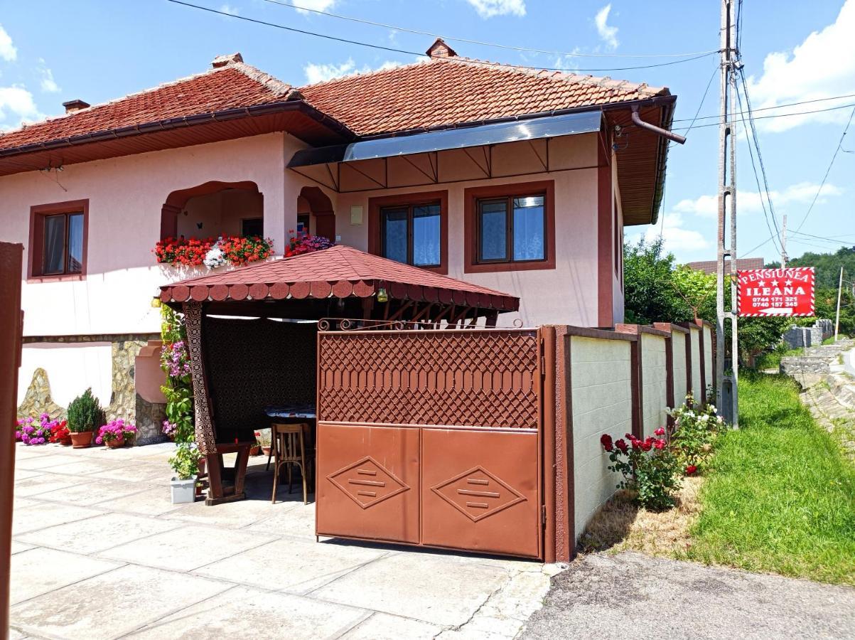 Pensiunea Ileana * Novaci-Străini